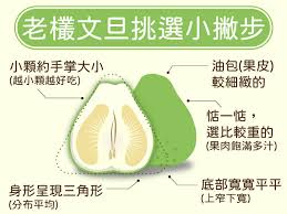 老柚如何查看收益