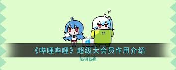 哔哩哔哩超级大会员有什么作用