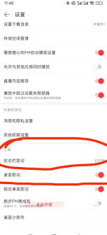 苹果手机网易云歌词如何显示在屏幕上