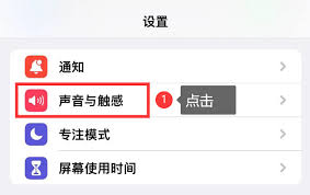苹果手机怎么设置来电歌曲铃声