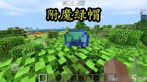 我的世界龟壳如何掉落