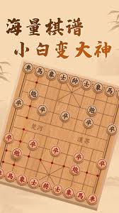 博雅象棋是什么样的游戏