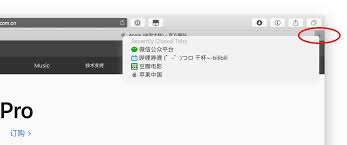 Safari标签页崩溃如何恢复