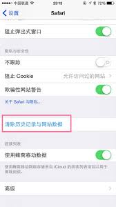 如何清理Safari缓存