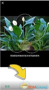 形色app如何识别植物