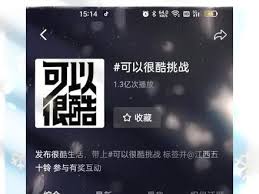 抖音加入挑战必须天天更新吗