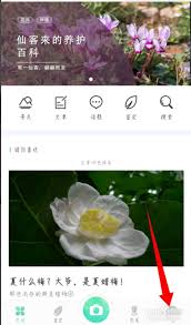 形色app如何注销账号