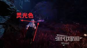 光与影33号远征队无尽夜圣所怎么探索
