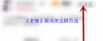 老柚如何取消关注群