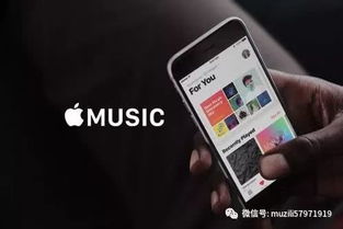 抖音付款了能退款吗