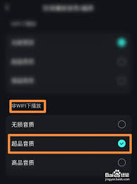 波点音乐有无损音质吗