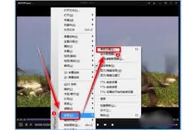 kmplayer plus如何导入字幕