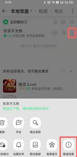 手机QQ音乐下载的歌曲本地为何找不到