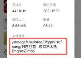 手机QQ音乐下载的音乐存放在哪