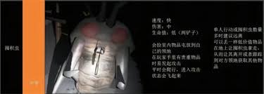 绝命公司怪物图鉴有哪些