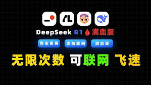 如何使用deepseek r1满血版