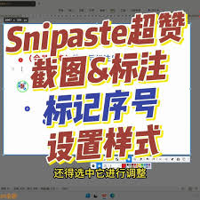 Snipaste截图后怎么添加序号标注