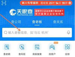 天眼查如何查名字重名