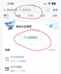 手机上怎么查个人征信中心官网