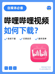 B站大片免费在线观看入口在哪