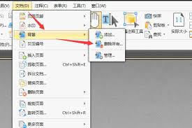 如何给PDF文件添加文件背景