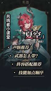 鸣潮夏空怎么全面养成