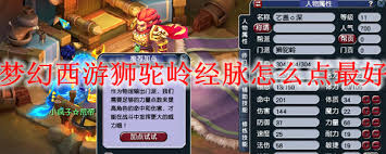 梦幻西游狮驼岭最新经脉如何点