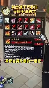 魔兽世界11.1射击猎pve宏怎么设置