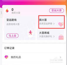 怎么捐掉支付宝亚运火苗