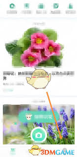 形色app如何设置权限