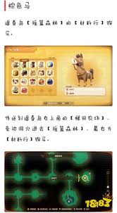 幻想生活i棕色马坐骑怎么获取