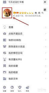 如何查看 QQ 注册时间精确到年月日