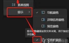 如何用迅雷修改文件后缀