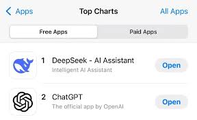 deepseek软件是什么