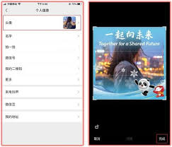 如何设置微信冬奥头像框