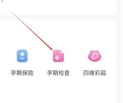 妈妈孕育网app如何查询产检记录