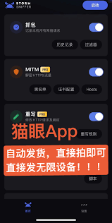 猫眼app和小程序哪个抢票更快