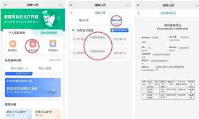 支付宝如何查看疫苗厂家