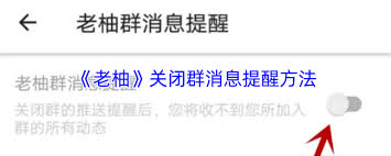 老柚如何关闭群消息