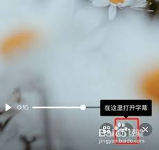 如何开启QQ智能视频字幕