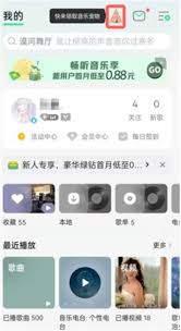QQ音乐如何领养音乐宠物