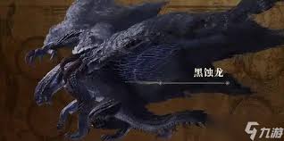 怪物猎人荒野黑蚀龙双刀怎么打