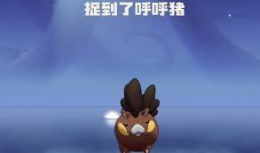 洛克王国世界呼呼猪技能如何搭配