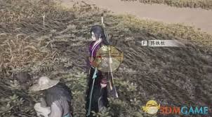 燕云十六声开封万事知田中生金任务如何做