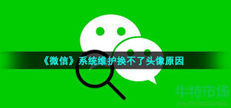 微信头像换不了怎么办