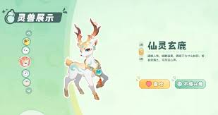 灵兽大冒险中女性灵兽推出了吗