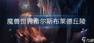 魔兽世界希尔斯布莱德丘陵灵魂医者位置在哪
