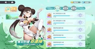 龙魂旅人中华白虎怎么玩