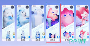 伊莫贝壳星怎么样