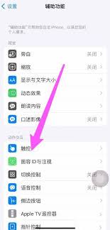 iPhone13桌面小圆点怎么设置